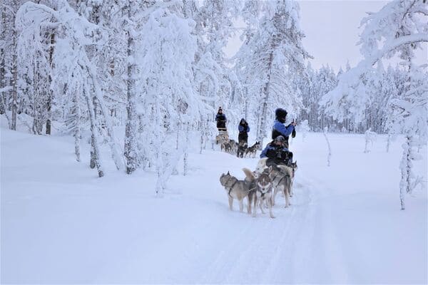 unterwegs mit den Huskies
