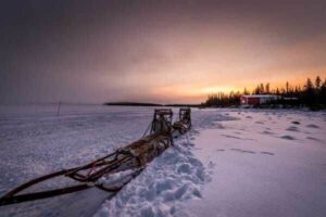 Aurora_Hundeschlittentour
