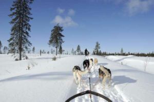 Huskyschlittentour
