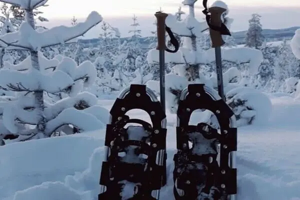 Schneeschuhwanderung - Lappland-Winterurlaub | Pieper Erlebnisreisen