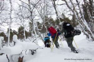 Gruppe beim Schneeschuwandern