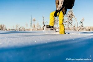 Schneeschutour durch Tiefschnee