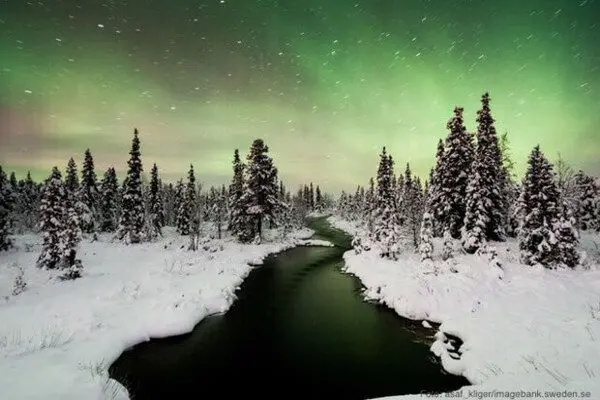 Polarlichter im Winterurlaub in Schweden