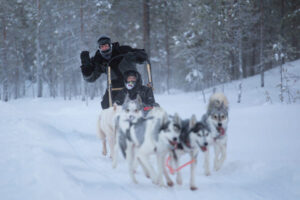 Huskytour im Tiefschnee