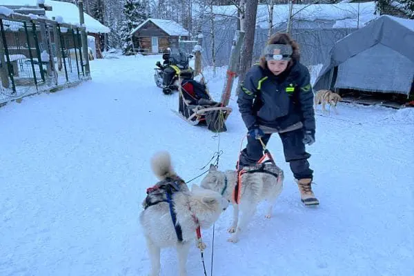 Kind mit Huskies im Schnee