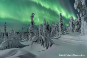 Polarlichter in Finnland | Pieper Erlebnisreisen