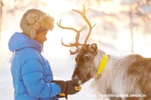 Winter Tour Lappland unter Polarlichter | Pieper Erlebnisreisen